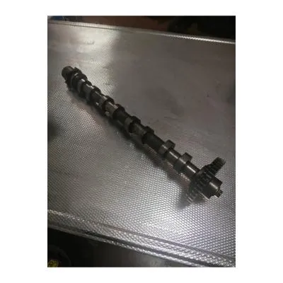 Nisan Navara 2016-2023 Model YS23 Çıkma Orjinal Eksantrik