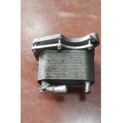 Nissan Navara Euro 6 YS23 2018-2023 Model Çıkma Orjinal Yağ Soğutucu